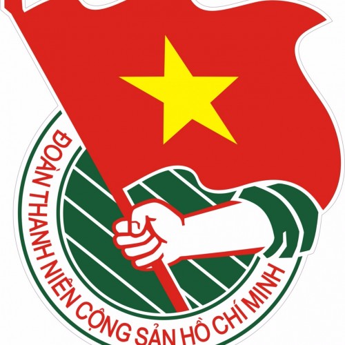 Biểu mẫu đại hội Đoàn